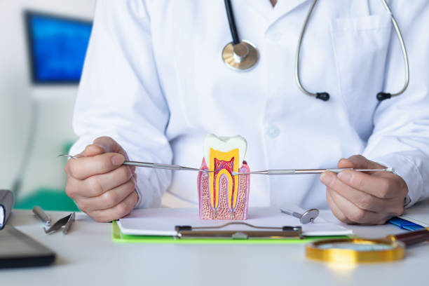 Best Knocked-Out Tooth Emergency  in Stateburg, SC